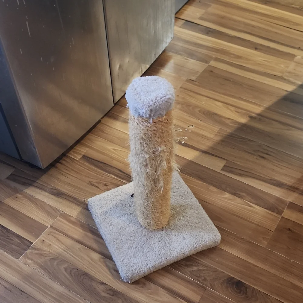 Beige Cat Scratching Post
